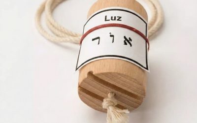 Metutelet e Radionica Cabalistica: la Tecnologia della Trasmutazione Energetica