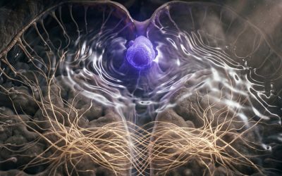 Il Progetto Gateway della CIA e l’Antica Alchimia: la verità sulla Creazione della Realtà